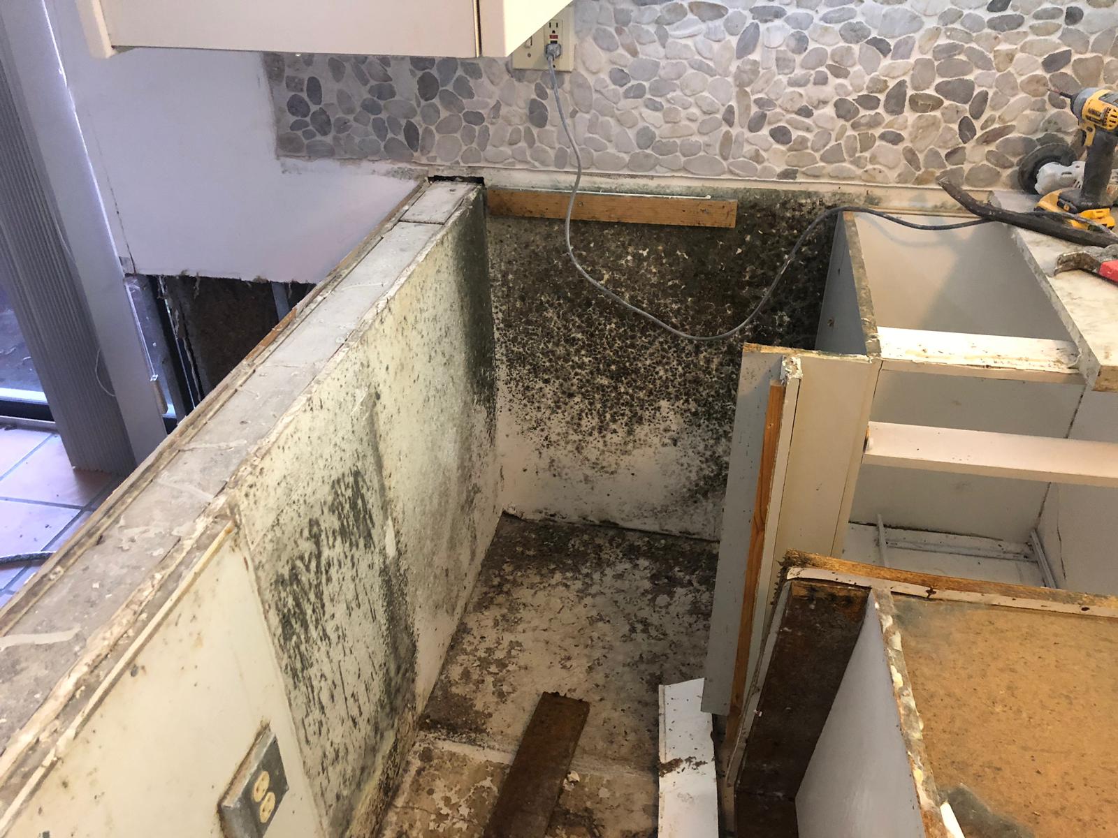 mold remediation in {CITY}
